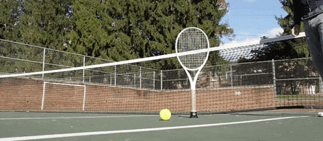 Tennis GIF