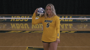 Volleyball Bison GIF by NDSU Athletics