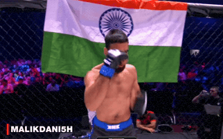 Khabib Nurmagomedov Ufc GIF