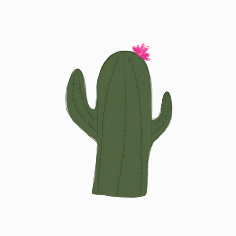 Jenny2207 fun dancing plant cactus GIF