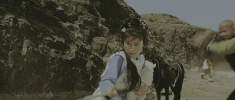 The Shaolin Temple GIF
