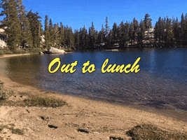 Out To Lunch GIF