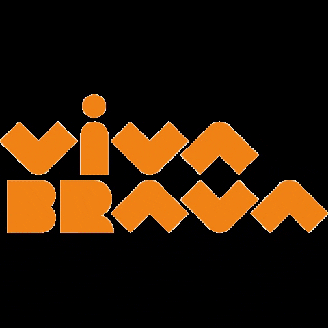 VivaBrava GIF