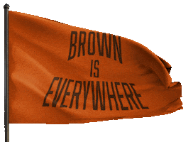 Flag Sticker by DESI TRILL