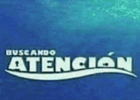 Atencion GIF