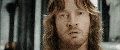 The Lord Of The Rings GIF by Maudit