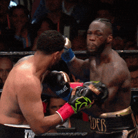 Deontay Wilder Knockout GIF by Premier Boxing Champions