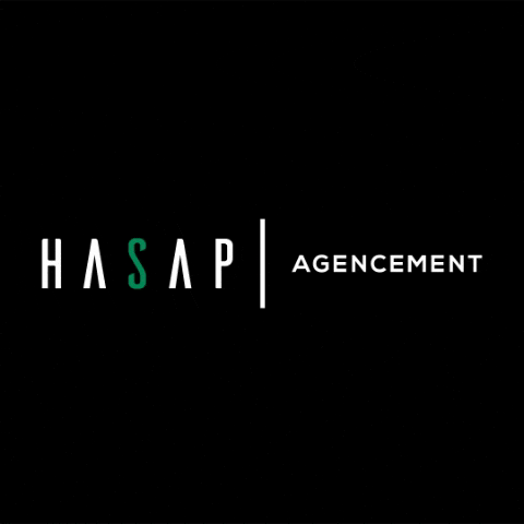 Rasion Dêtre GIF by HASAP