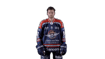 Ducs Dangers Hockey Sticker by Les Ducs d'Angers