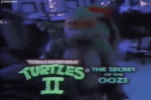 teenage mutant ninja turtles 90s GIF