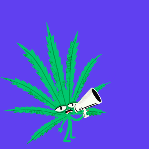 Digital art gif. Illustration of a green marijuana leaf with hands, feet, and a face, holding a megaphone to its open mouth. Text appears that reads, "The More Act equals schools not prisons," everything against a periwinkle blue background.
