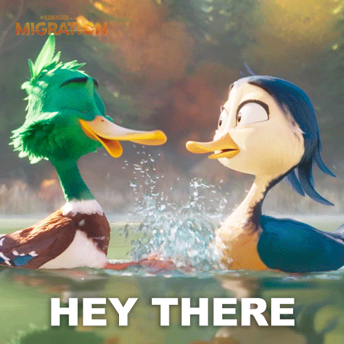 MigrationMovie duck marriage greeting proposal GIF