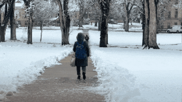 Snow Winter GIF by Colorado State University Admissions