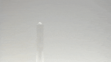 condom wrapper GIF