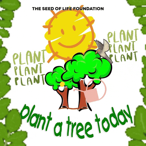 Plant A Tree Today GIFs - Get the best GIF on GIPHY