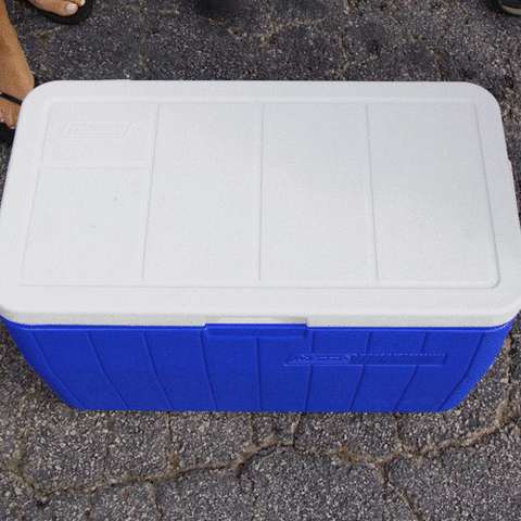 Ad gif. We look down at a blue cooler as someone opens it and people grab bottles of Twisted Tea from the ice inside.