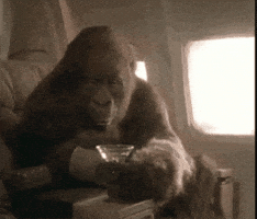 Amy Drinking GIF by JIP!