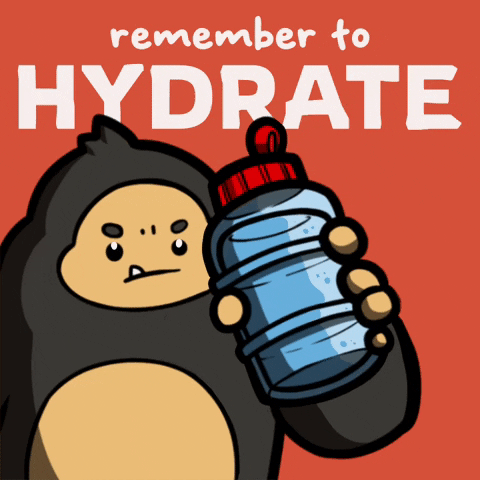 Drink Water Self Care GIF by SolSquatch