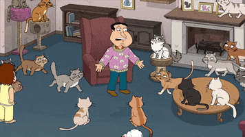 Family Guy Cat GIF by FOX TV