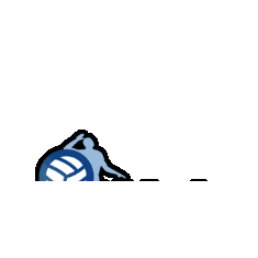VC Zwolle Sticker