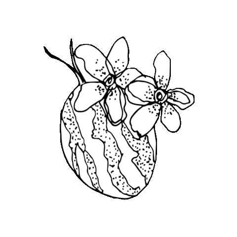 Cape of Storms Apothecary Sticker