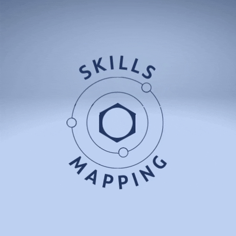 SkillsMapping skill sm mapping GIF