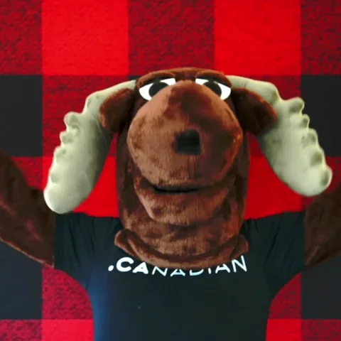 Canadian Party GIF by choose.ca