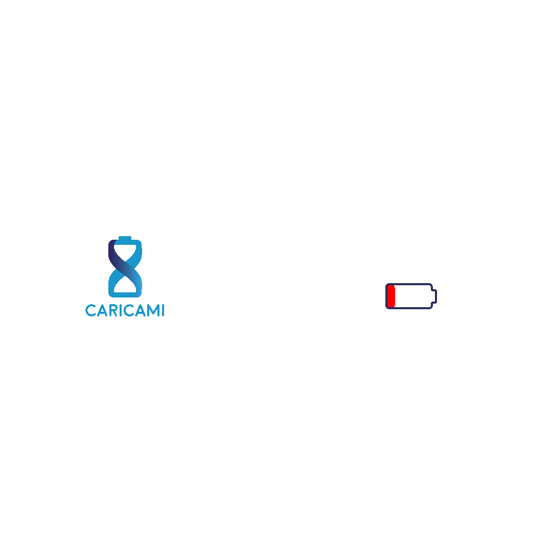Caricami Sticker