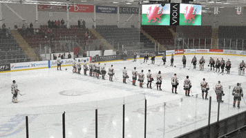 Ice Hockey Wales GIF by Cardiff Fire