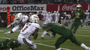 Knock Out Usf GIF by SoFloBulls