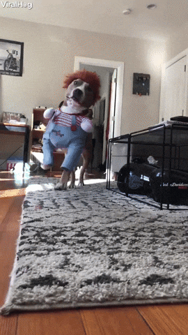 giphy.gif?cid=790b761113acec61c5335fef10