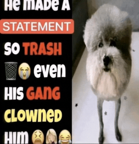 Dog Trash GIF