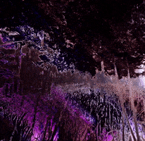Glow Other World GIF by rolfes