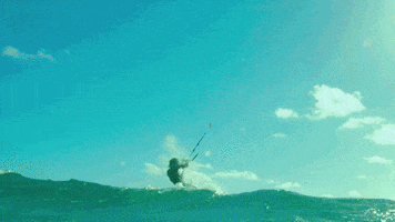 Adventure Surf GIF by Luv Films