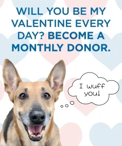 GIF by Humane Rescue Alliance