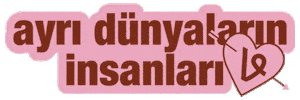 vivense Sticker