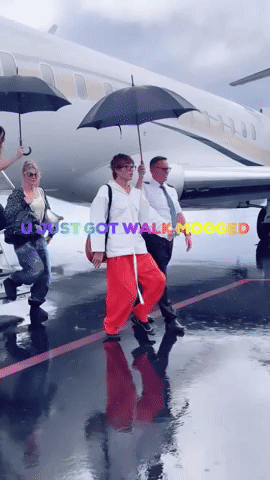 Mogged GIF
