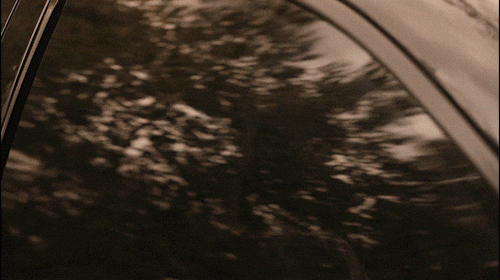 giphy.gif?cid=5e214886hxlbe0jaxvbw5xsvaq