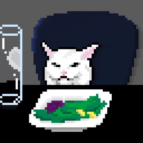 16+ Gif Funny Cat Memes Background