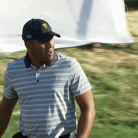 ThePresidentsCup GIF
