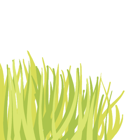 Green Sticker