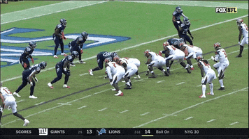Tampa Bay Buccaneers GIF