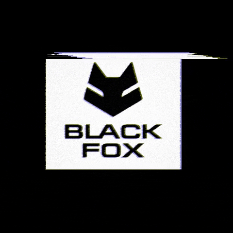 Blf GIF by BlackFoxGmbH