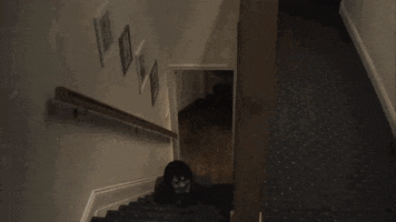 Halloween GIF