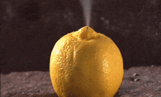 lemon GIF