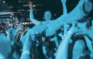 Stage Dive Letitroll GIF by Midland