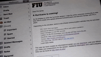 FIU hurricane fiu fiuroary fiuhurricane GIF