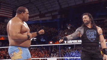 Roman Reigns Reaction GIF by WWE