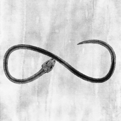 Snake Infinity GIF
