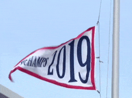 Washington Nationals GIF